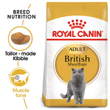 Detail Makanan Kucing British Nomer 11