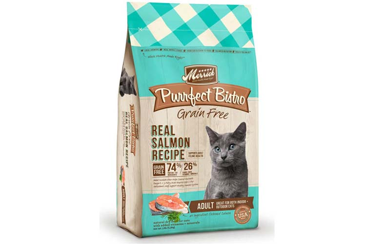 Detail Makanan Kucing British Nomer 12