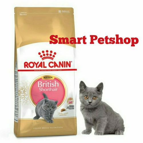 Detail Makanan Kucing British Nomer 14