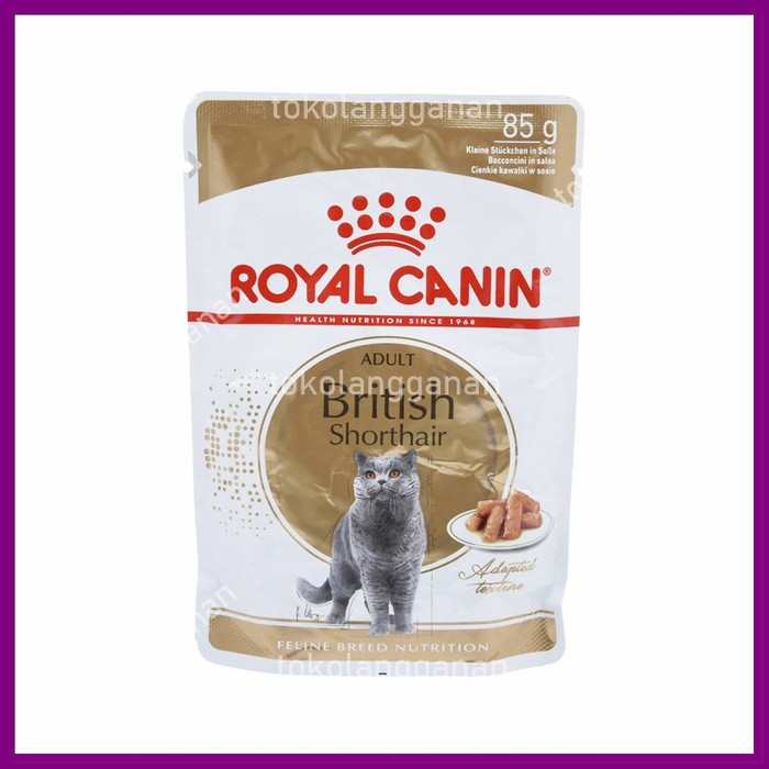 Detail Makanan Kucing British Nomer 15