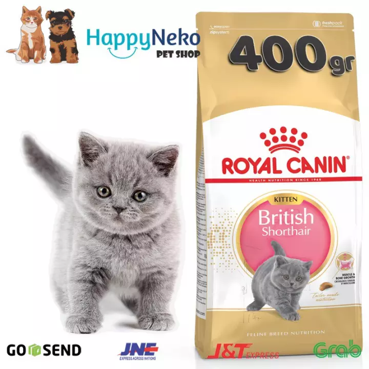 Detail Makanan Kucing British Nomer 16