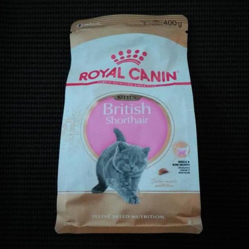 Detail Makanan Kucing British Nomer 17