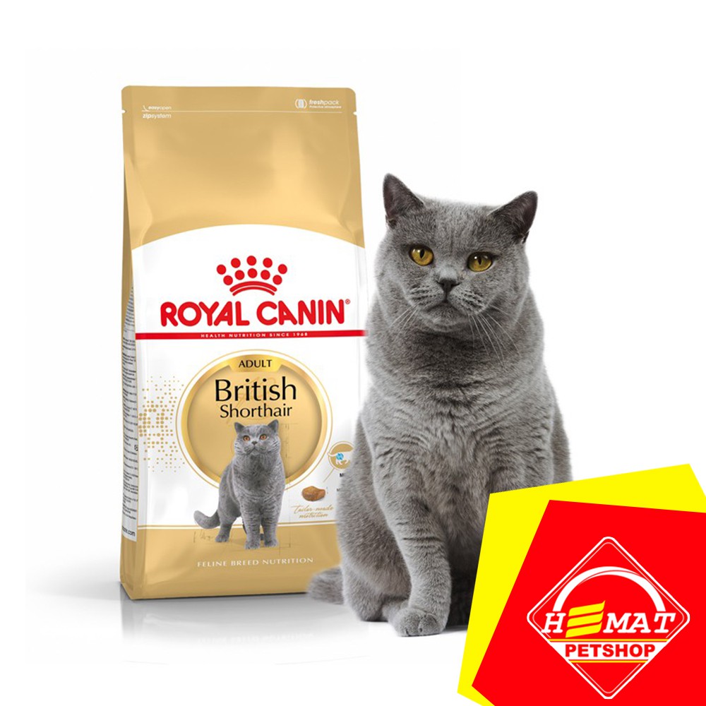 Detail Makanan Kucing British Nomer 3