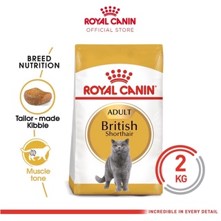Detail Makanan Kucing British Nomer 18