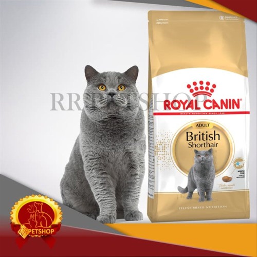 Detail Makanan Kucing British Nomer 19