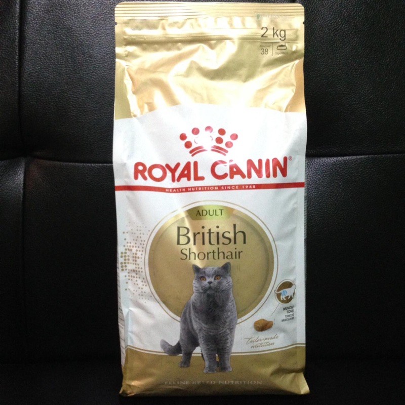 Detail Makanan Kucing British Nomer 20