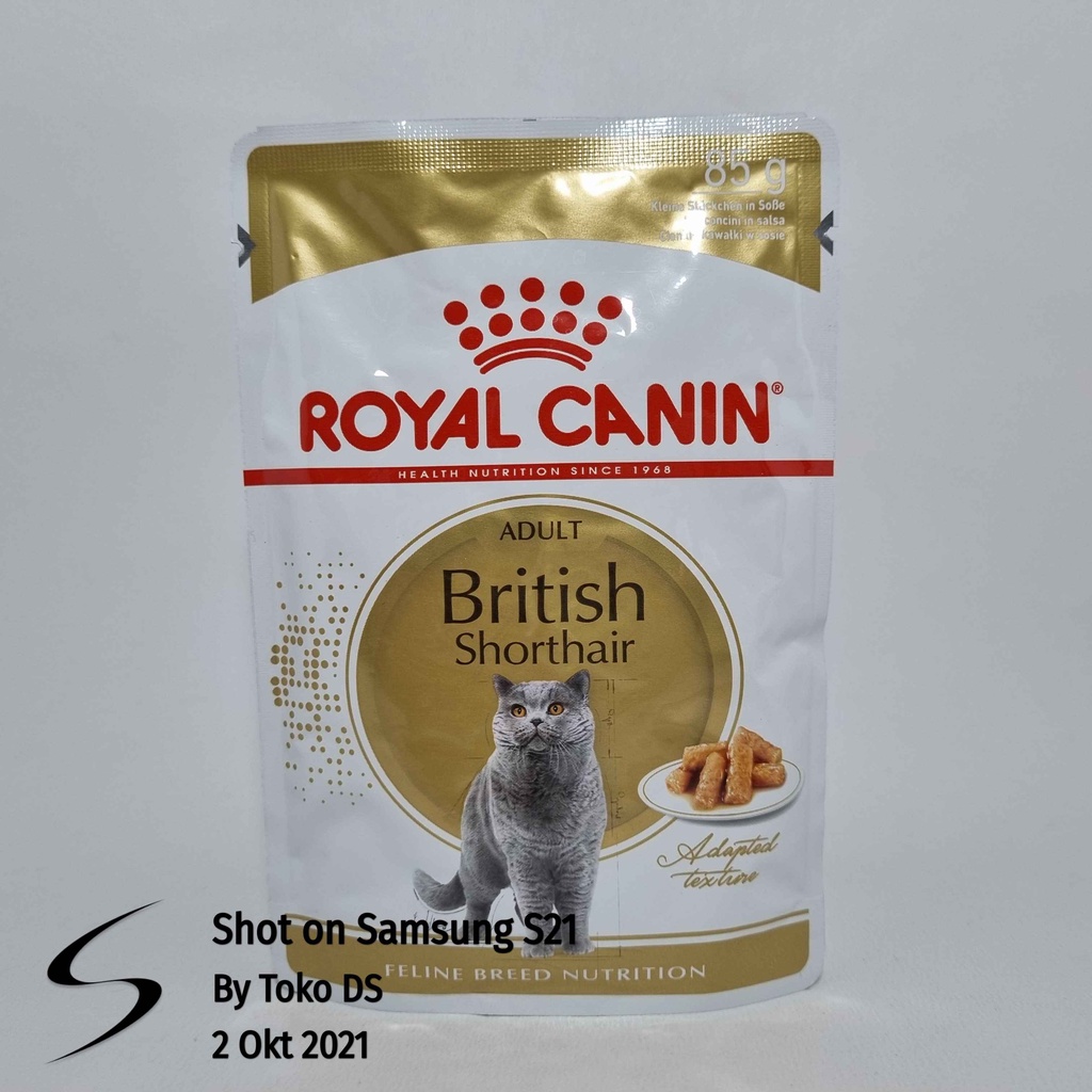 Detail Makanan Kucing British Nomer 21