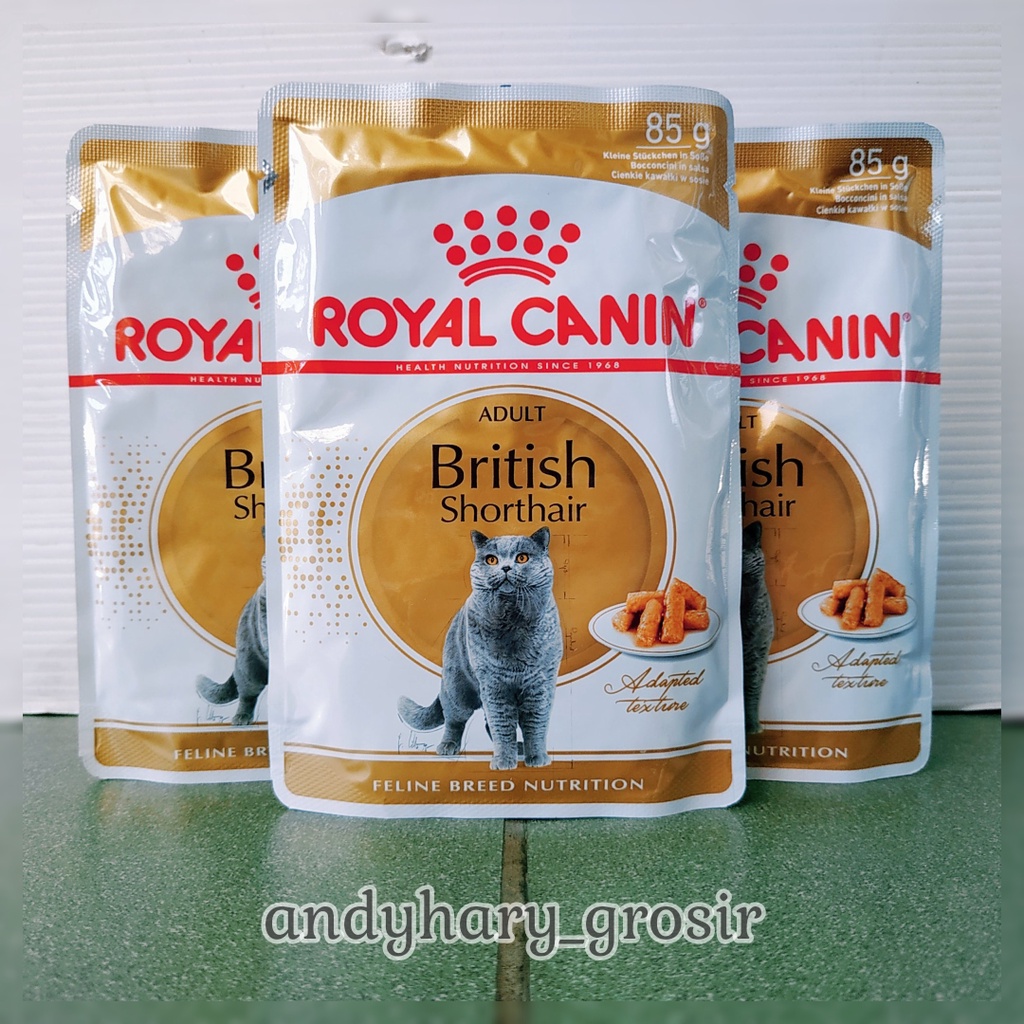Detail Makanan Kucing British Nomer 22