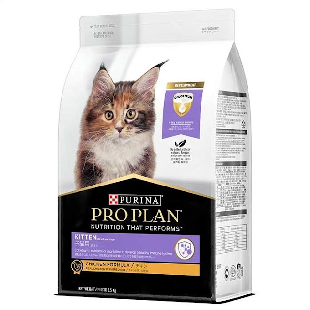 Detail Makanan Kucing British Nomer 25