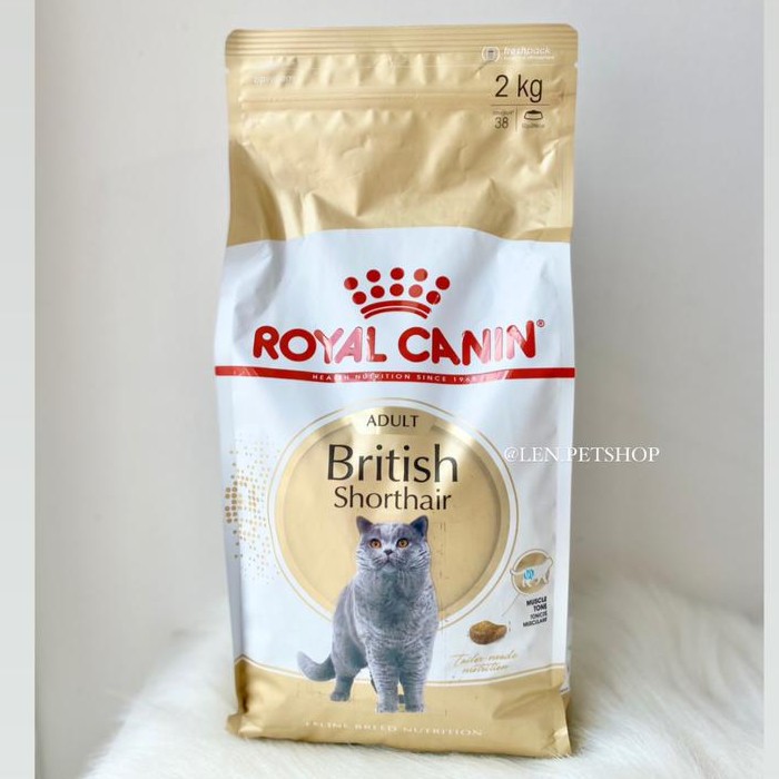 Detail Makanan Kucing British Nomer 28