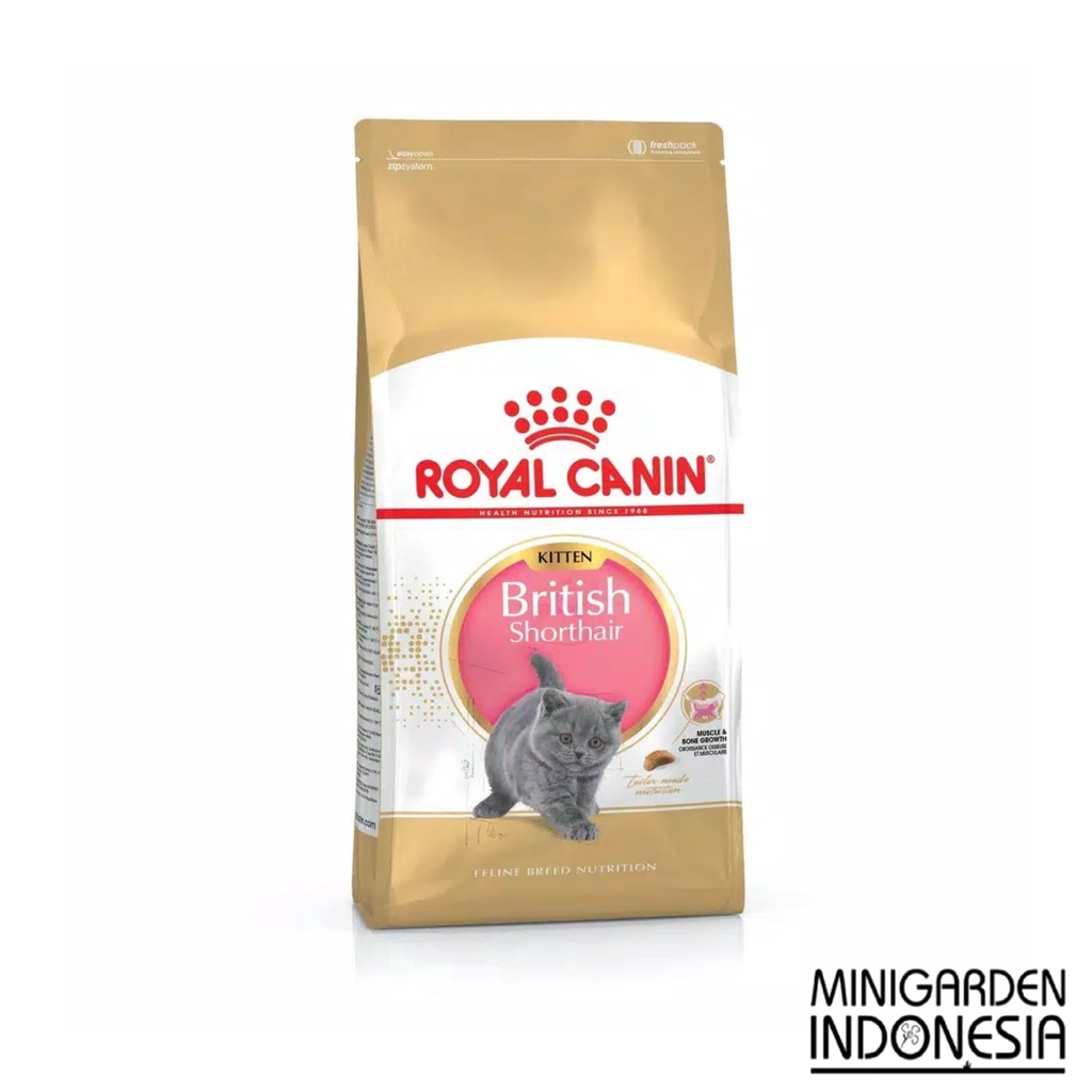 Detail Makanan Kucing British Nomer 31