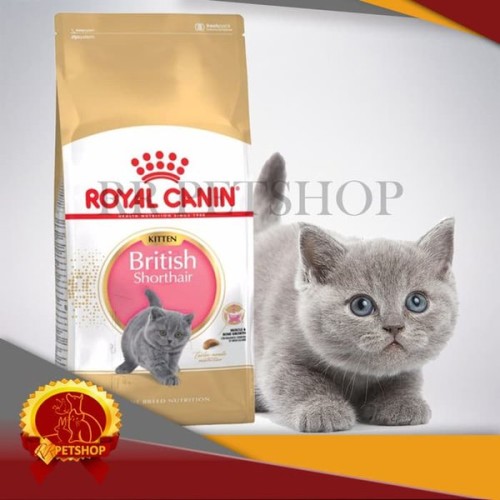 Detail Makanan Kucing British Nomer 32