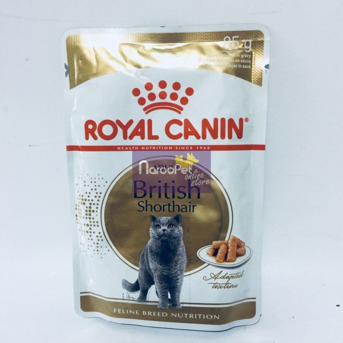 Detail Makanan Kucing British Nomer 36
