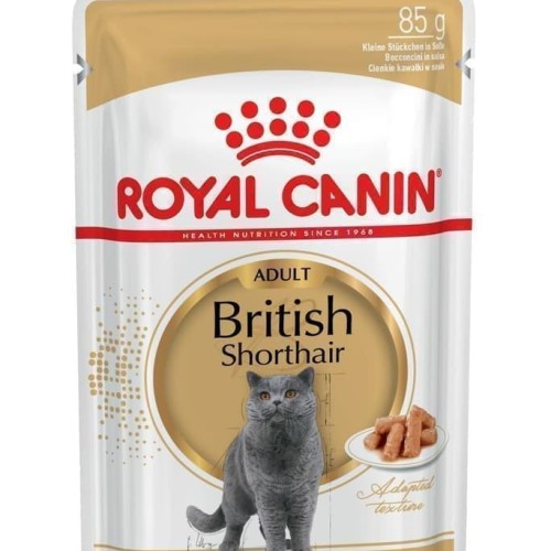 Detail Makanan Kucing British Nomer 4