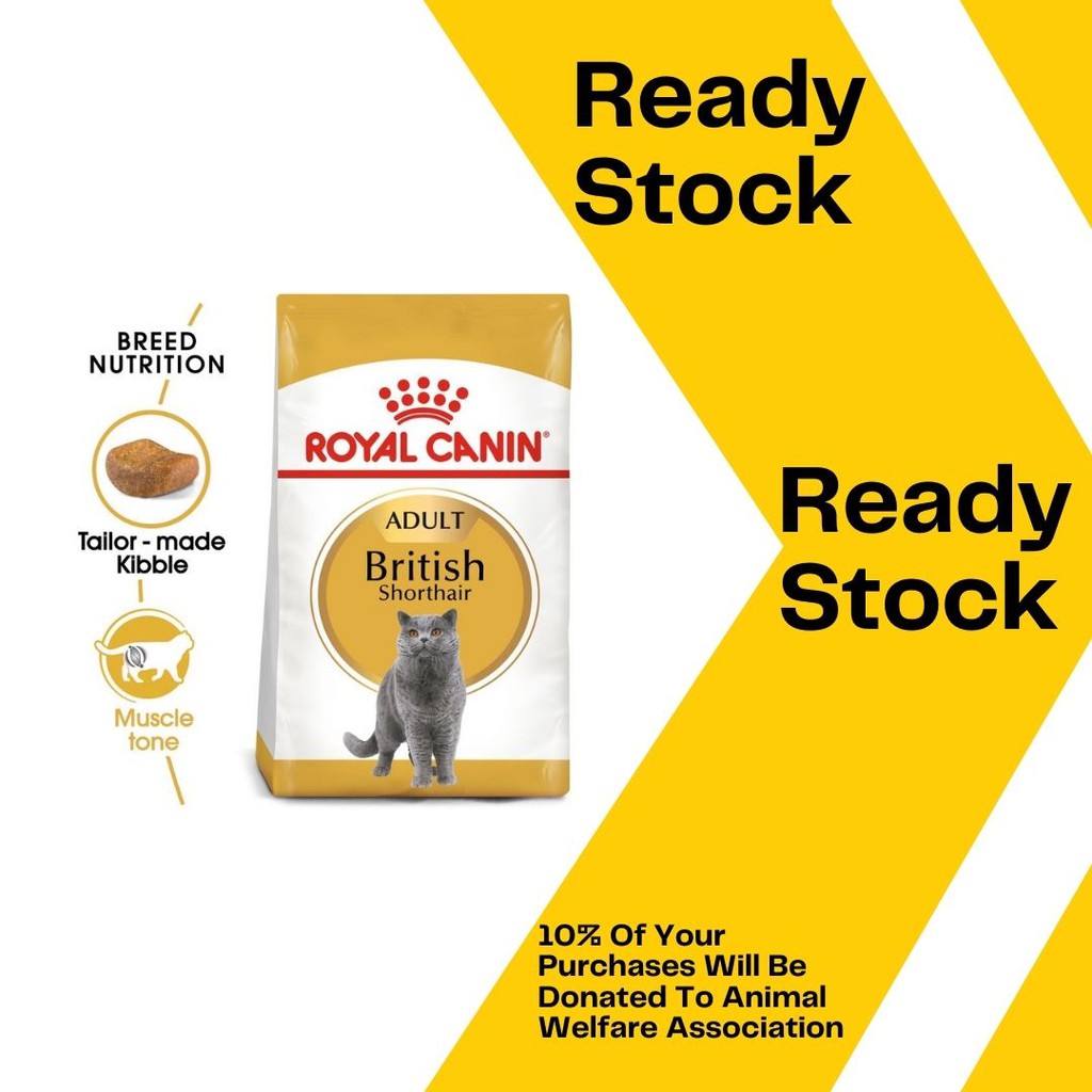 Detail Makanan Kucing British Nomer 40