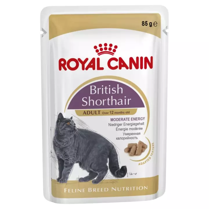 Detail Makanan Kucing British Nomer 41