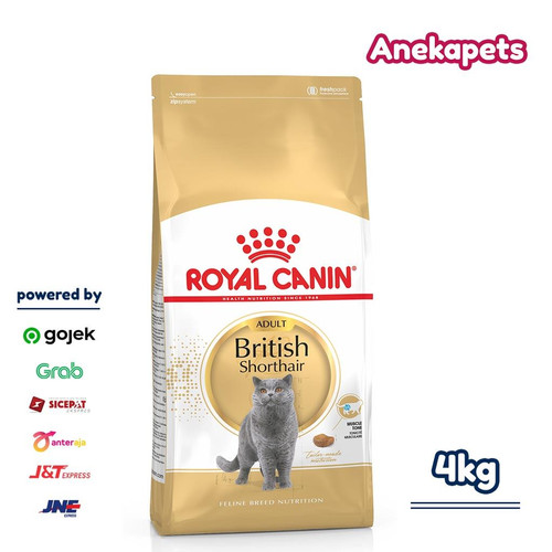 Detail Makanan Kucing British Nomer 42
