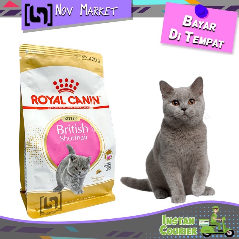 Detail Makanan Kucing British Nomer 43