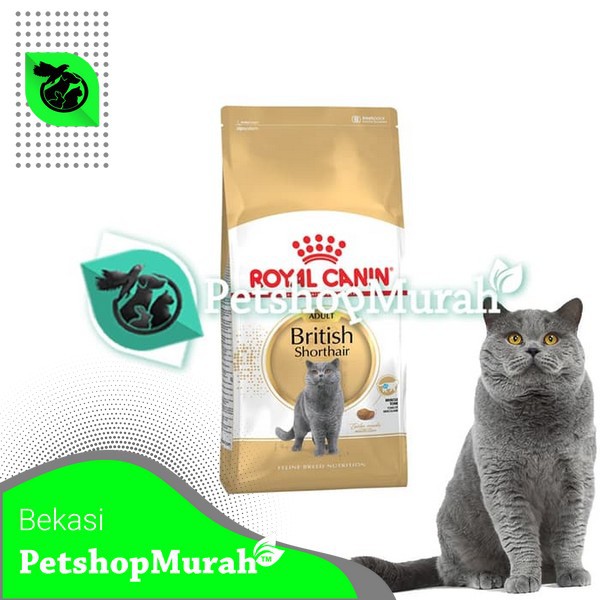 Detail Makanan Kucing British Nomer 44