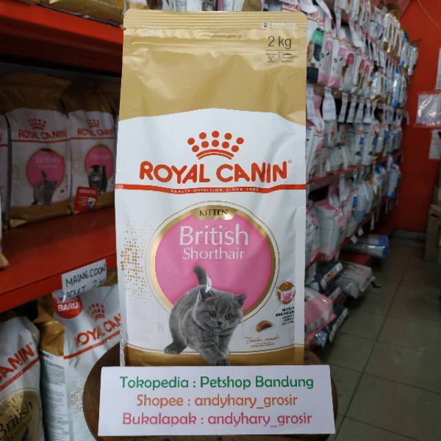 Detail Makanan Kucing British Nomer 45