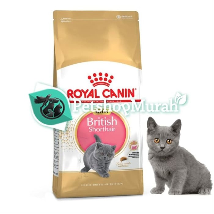 Detail Makanan Kucing British Nomer 53
