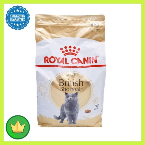 Detail Makanan Kucing British Nomer 54