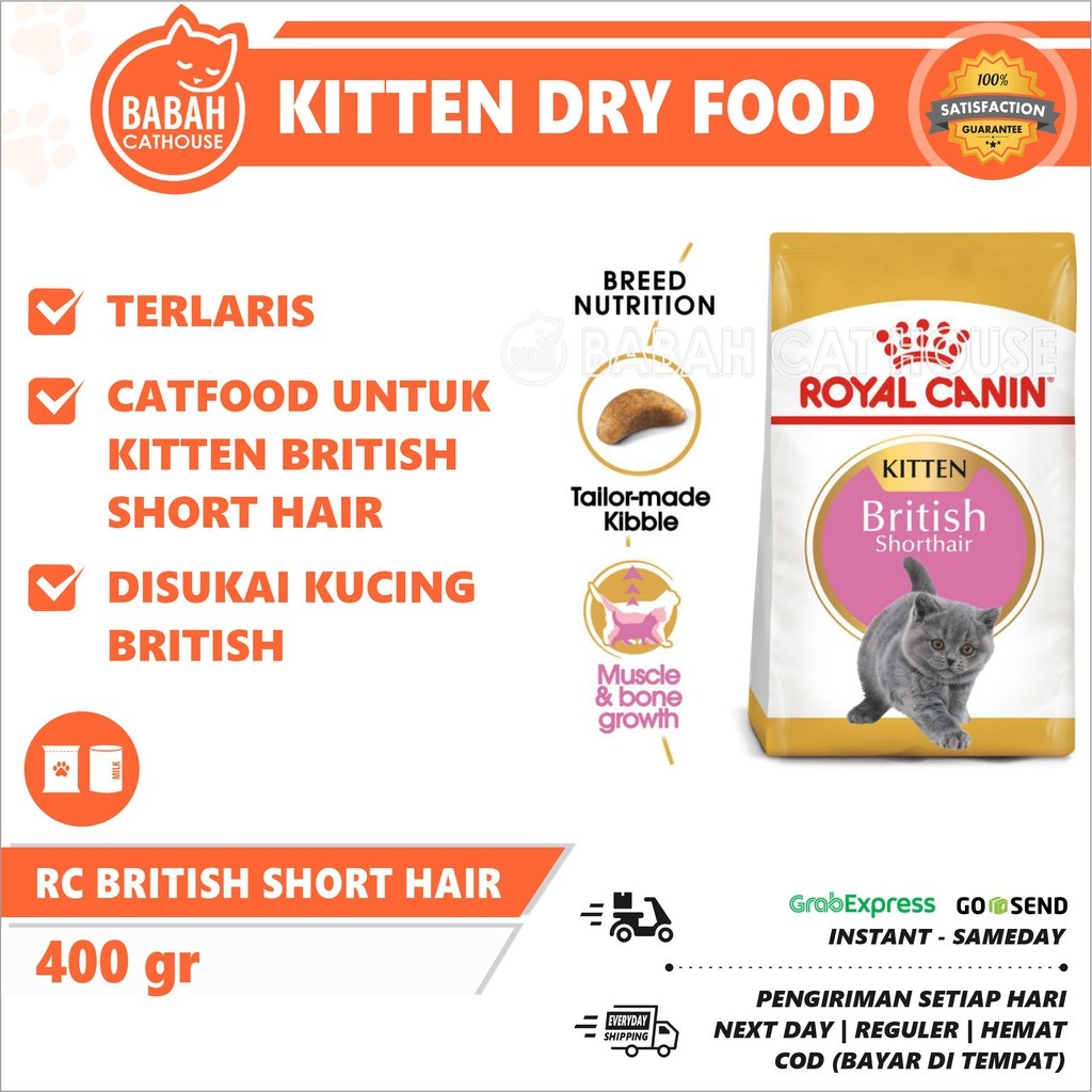 Detail Makanan Kucing British Nomer 55