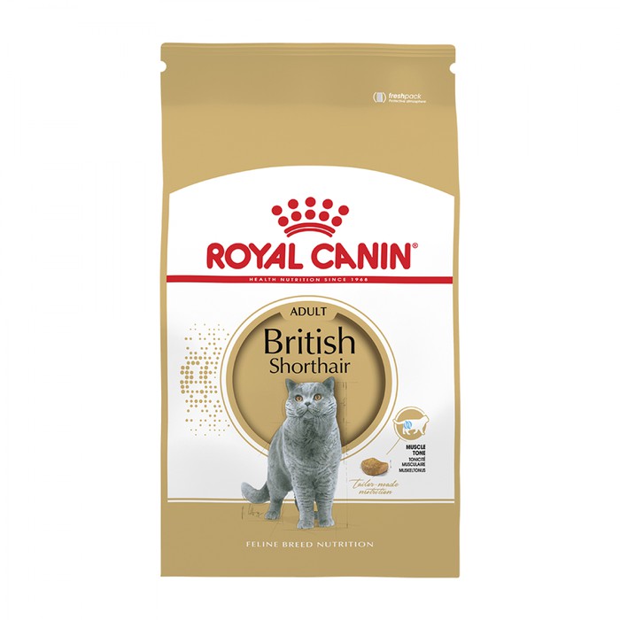 Detail Makanan Kucing British Nomer 6