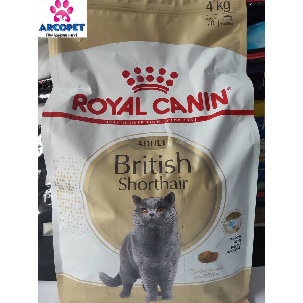 Detail Makanan Kucing British Nomer 7