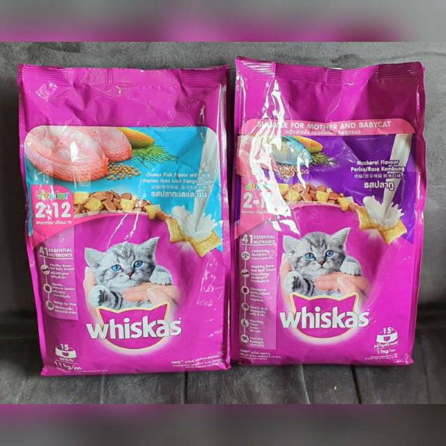 Detail Makanan Kucing Menyusui Nomer 14