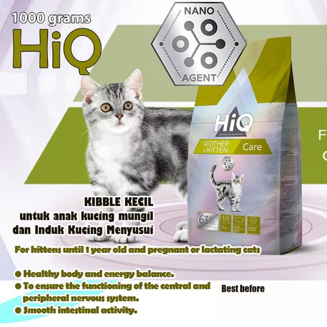 Detail Makanan Kucing Menyusui Nomer 19