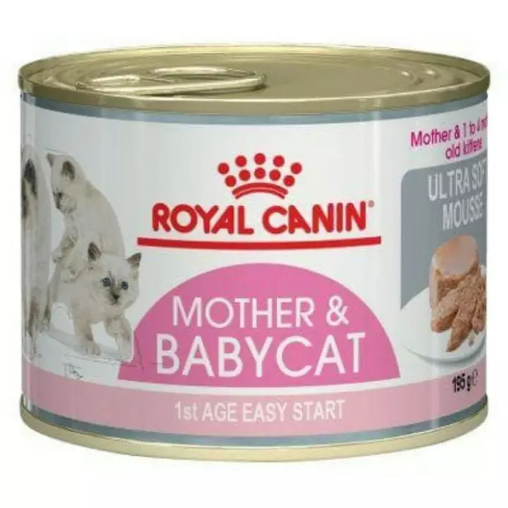 Detail Makanan Kucing Menyusui Nomer 24