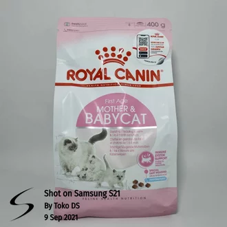 Detail Makanan Kucing Menyusui Nomer 39