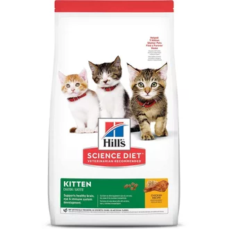 Detail Makanan Kucing Menyusui Nomer 46