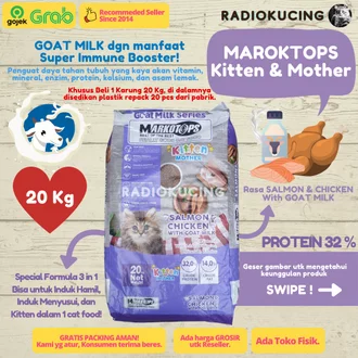 Detail Makanan Kucing Menyusui Nomer 49