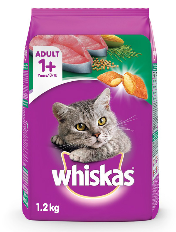 Detail Makanan Kucing Scottish Fold Nomer 37