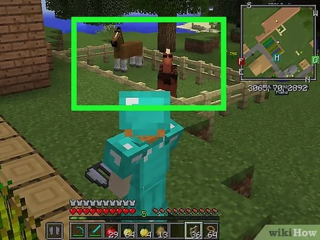 Detail Makanan Kuda Di Minecraft Nomer 3