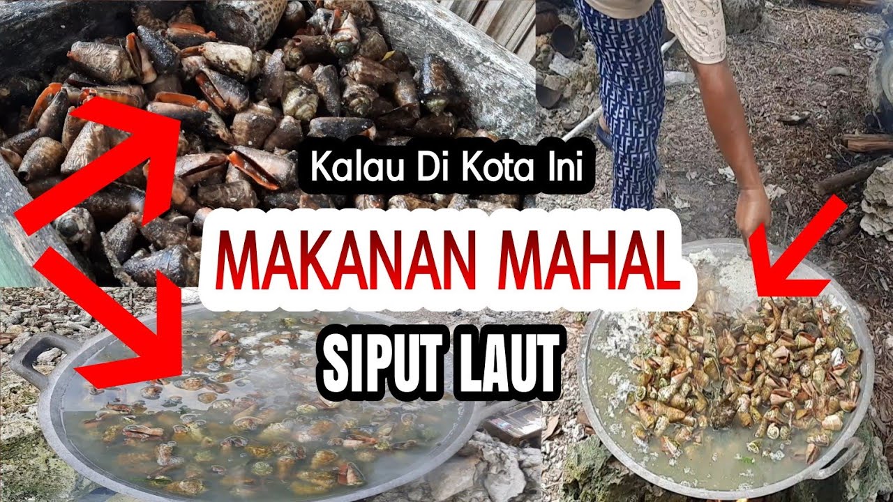 Detail Makanan Siput Laut Nomer 34