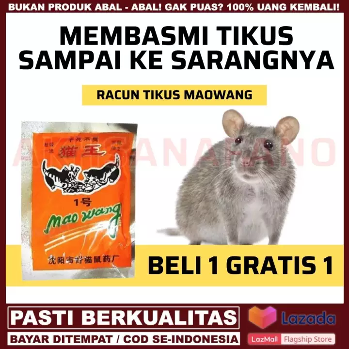 Detail Makanan Tikus Rumah Nomer 14