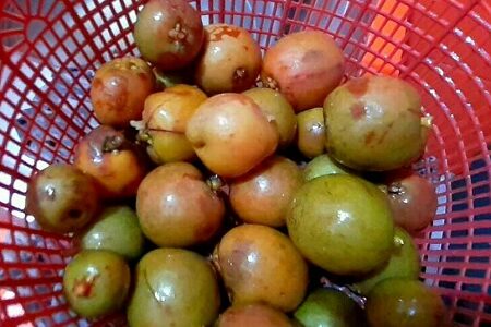 Detail Makanan Yang Rasanya Asam Nomer 11