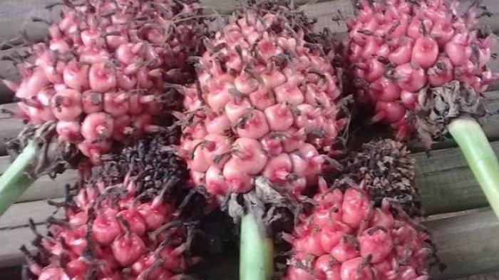 Detail Makanan Yang Rasanya Asam Nomer 12