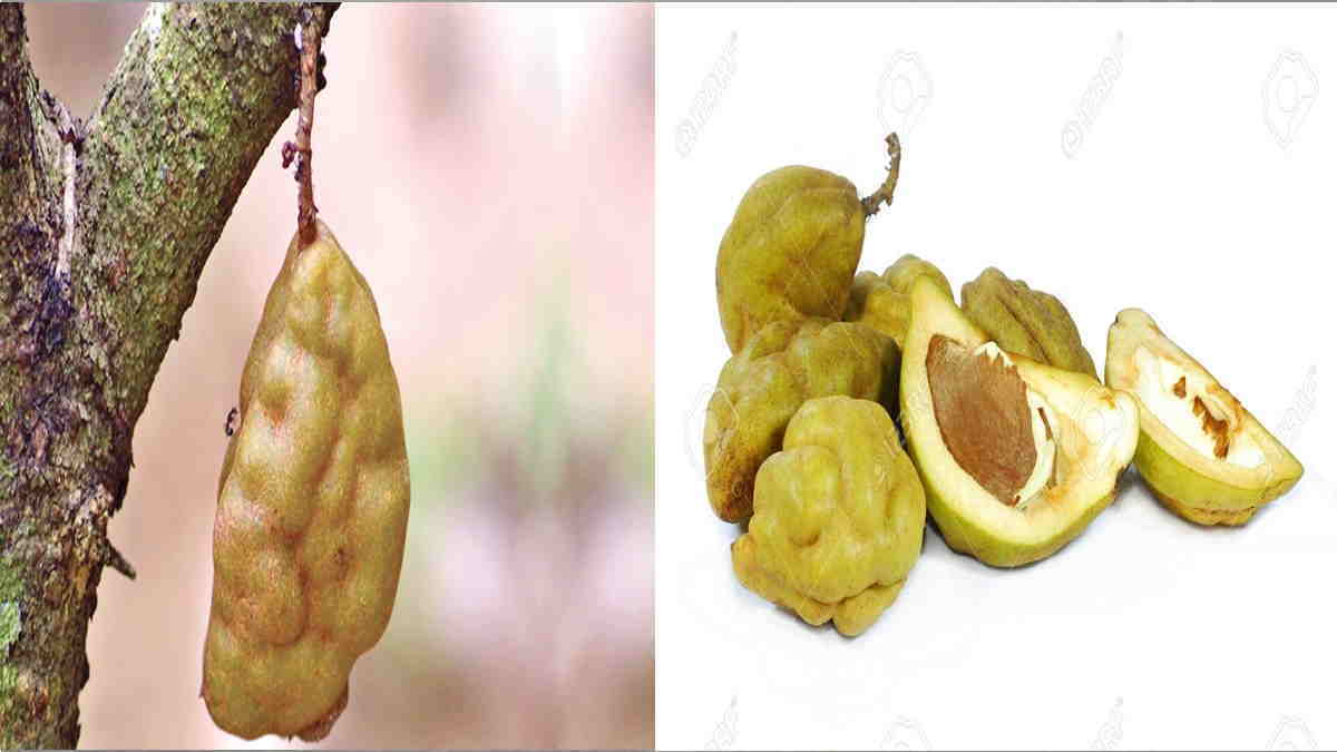 Detail Makanan Yang Rasanya Asam Nomer 14