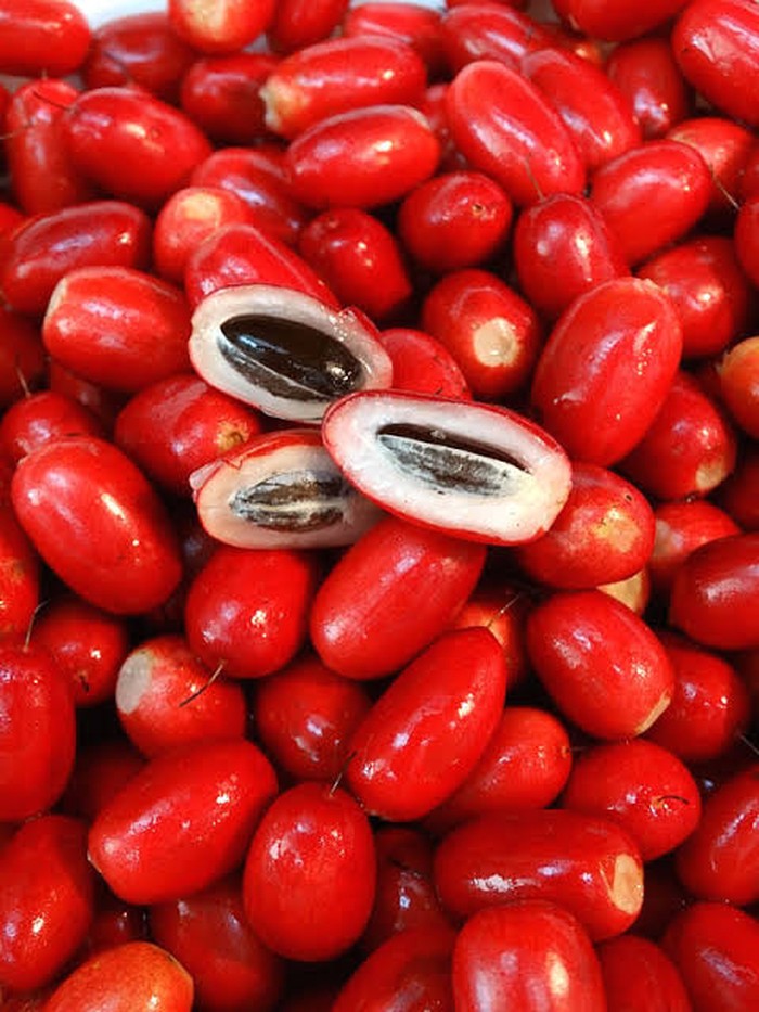 Detail Makanan Yang Rasanya Asam Nomer 15