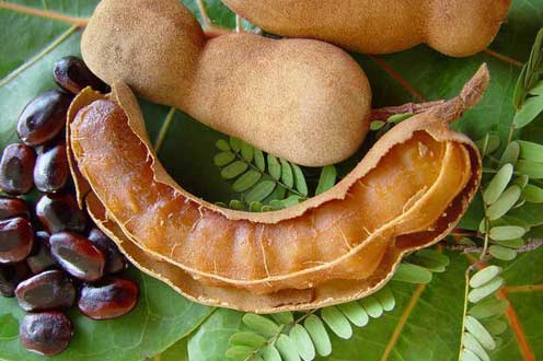 Detail Makanan Yang Rasanya Asam Nomer 16