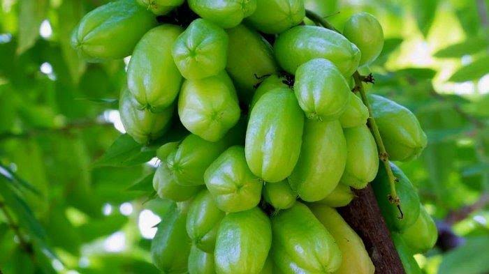 Detail Makanan Yang Rasanya Asam Nomer 41