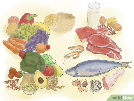Detail Makanan Yang Seimbang Nomer 31