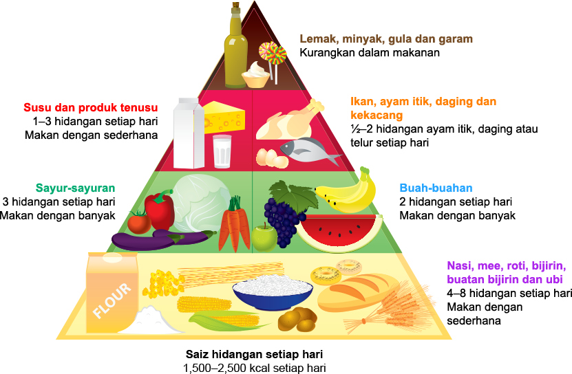 Detail Makanan Yang Seimbang Nomer 4