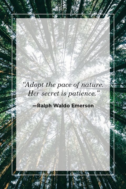 Make Some Quotes About Nature - KibrisPDR