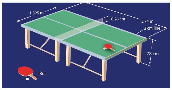 Detail Permainan Bola Pingpong Nomer 22