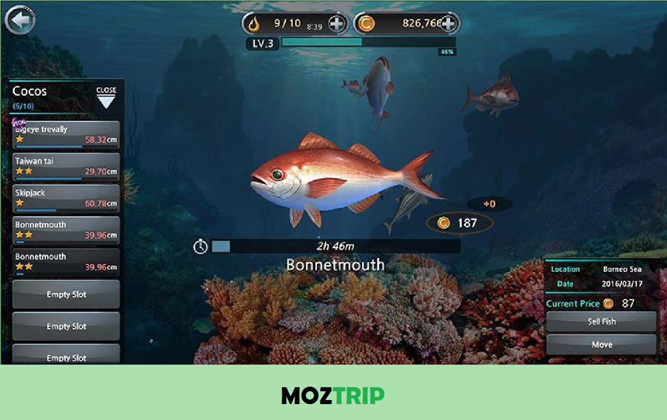 Detail Permainan Memancing Di Laut Nomer 21